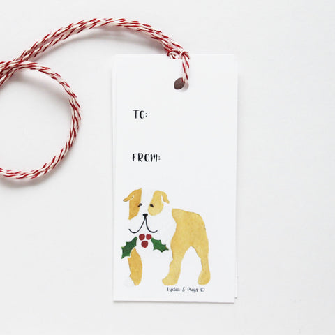 English Bulldog with holly Gift Tags