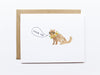 Thank You Card - Cat Thank You Assorted Cards