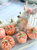 Mini Pumpkins
