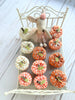 Mini Pumpkins