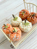 Mini Pumpkins